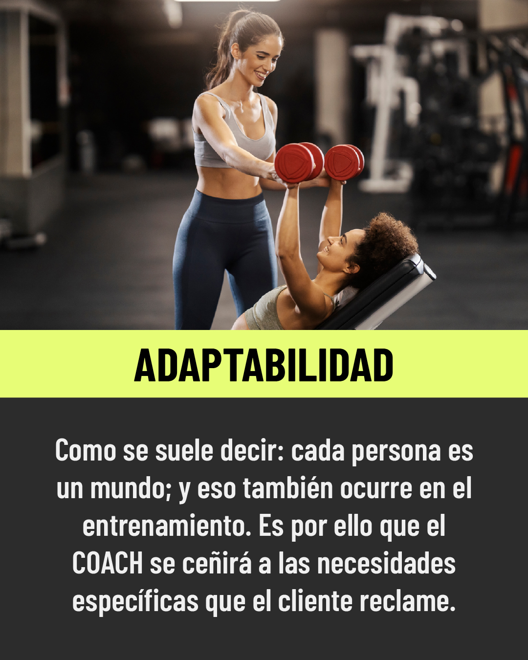 adaptabilidad coach duin